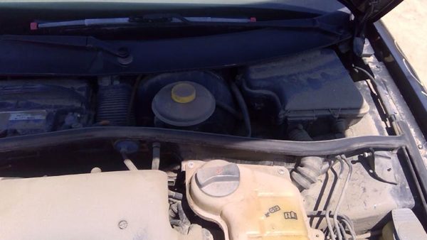 1999 Volkswagen Passat — vehicle photo 10