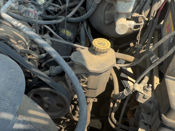 2002-2004 Dodge Ram 1500 Power Steering Pump With Pulley Oem 5.9L 52113454Ad — photo 1