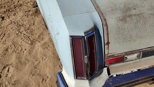 1975 Olds Cutlass Quarter Panel Moulding LH Blue — photo 4