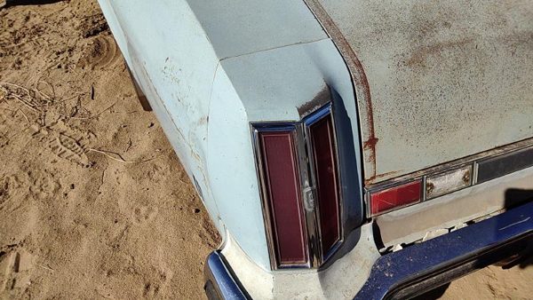 1975 Olds Cutlass Quarter Panel Moulding LH Blue — photo 3