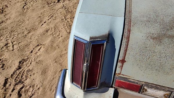 1975 Olds Cutlass Quarter Panel Moulding LH Blue — photo 7