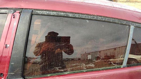 2010-2014 Honda Insight Driver Left Rear Side Window Door Glass Oem Back — photo 1