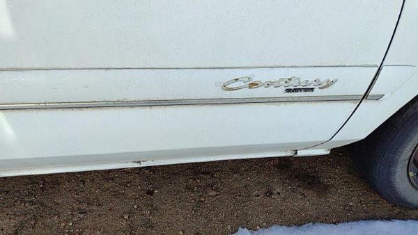 97-00 Buick Century Passenger Right Front Moulding From Door Trim Strip White — photo 6