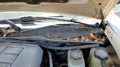 2003-2007 Cadillac Cts Driver Left Windshield Wiper Arm Oem Blade Lever 12487635