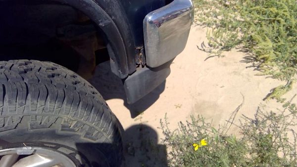 1993 Dodge Dakota Fender RH Green Rusted — photo 7