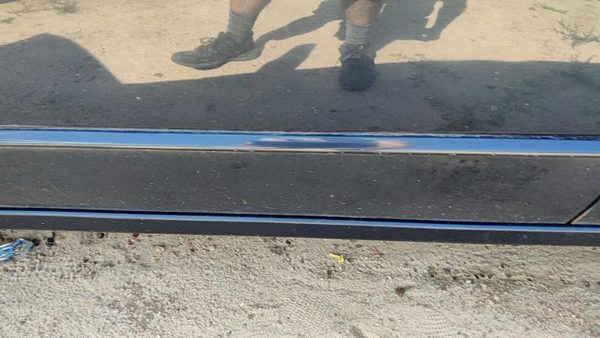 1998-1999 Honda Accord Driver Left Front Moulding From Door Oem Trim Strip Gray — photo 3