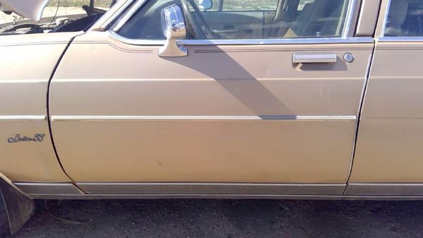 1985 Oldsmobile Delta 88 Front Door LH Gold — photo 1