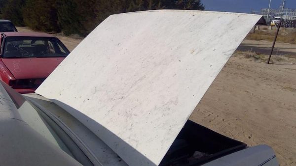 1986 Chevrolet Caprice Trunk/decklid/hatch/tailgate White — photo 2