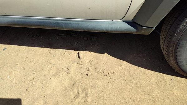 2005-2007 Jeep Liberty Passenger Right Lower Rocker Moulding Oem Side Skirt — photo 2