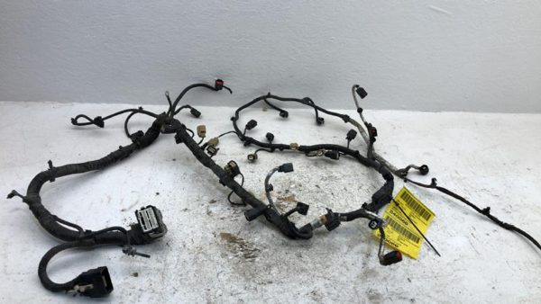 2012 Ford F150 Wiring Harness For Engine Oem 5.0L 4X2 Du5t12c508j4cp7 — photo 4