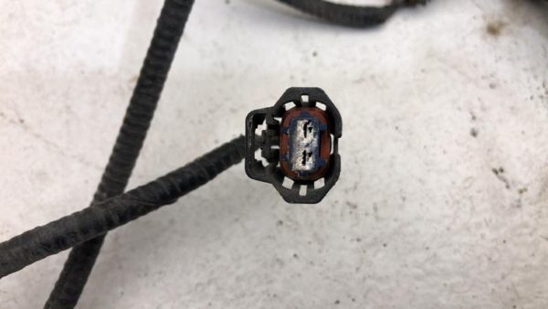 2012 Ford F150 Wiring Harness For Engine Oem 5.0L 4X2 Du5t12c508j4cp7 — photo 7