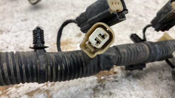 2012 Ford F150 Wiring Harness For Engine Oem 5.0L 4X2 Du5t12c508j4cp7 — photo 15