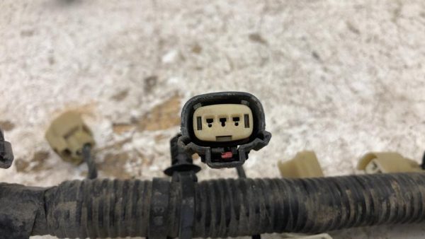 2012 Ford F150 Wiring Harness For Engine Oem 5.0L 4X2 Du5t12c508j4cp7 — photo 13