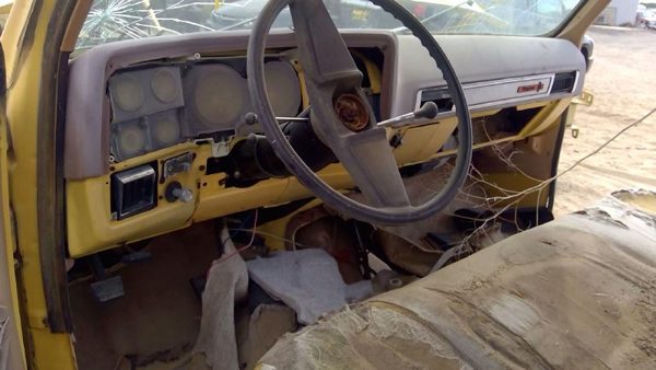 1979 Chevy Pickup 10 — vehicle photo 5