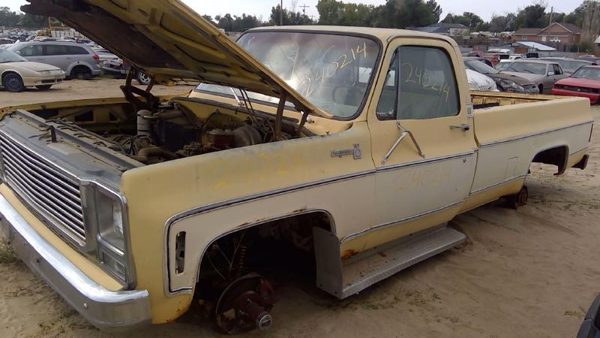 1979 Chevy Pickup 10 — vehicle photo 3