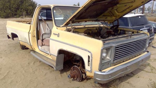 1979 Chevy Pickup 10 — vehicle photo 1
