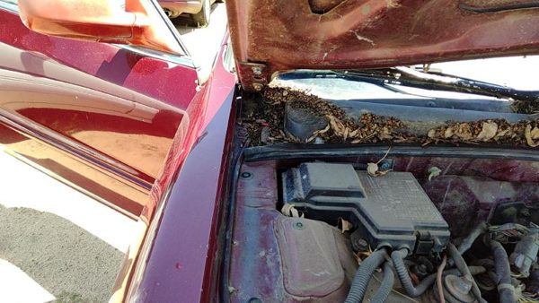 1994-1998 Honda Accord Passenger Right Hood Hinge Assembly Oem Red 3946852 — photo 1