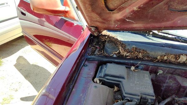1994-1998 Honda Accord Passenger Right Hood Hinge Assembly Oem Red 3946852 — photo 4