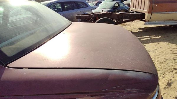 1998 Buick LeSabre Trunk/decklid/hatch/tailgate Maroon Hail 25665723 — photo 4