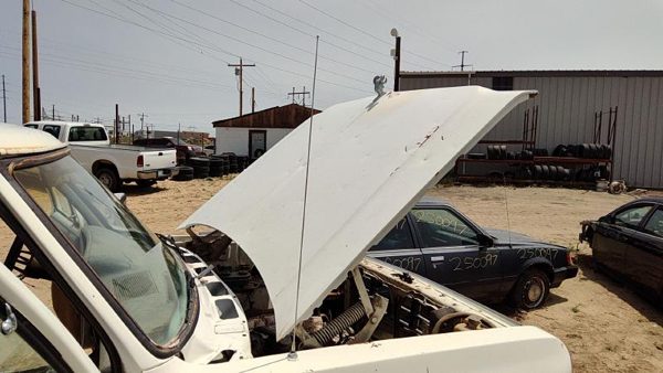1984 Dodge Ram Hood White — photo 4
