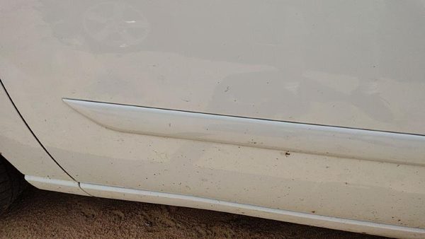 00-07 Focus Station Wagon Driver Left Front Moulding From Door Trim Strip White — photo 7