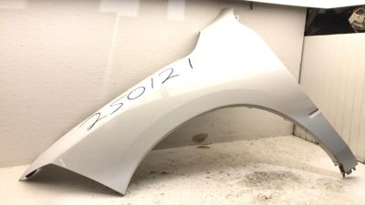 2016 LH Dodge Ram 1500 Driver Left Front Fender OEM White PW7 Light Hail Lower