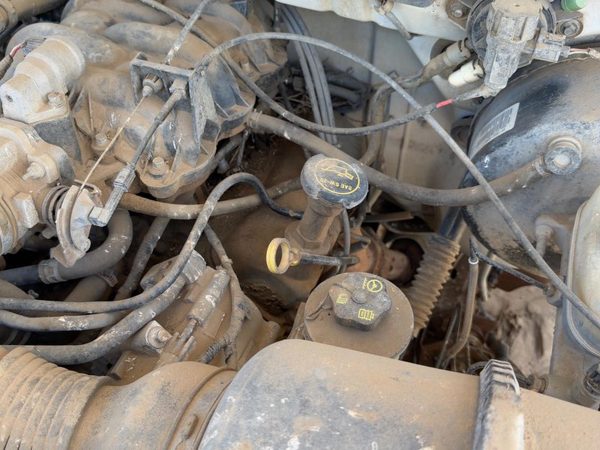 1999-2004 Ford F150 Driver Left Valve Cover Oem 4.2L 1F2Z6582Aa — photo 6