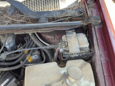 2001-2005 Chevy Venture Cruise Control Servo Assembly Module With Cable Oem