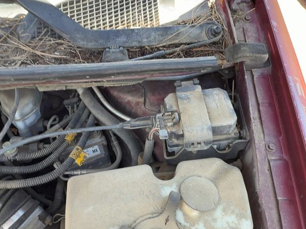 2001-2005 Chevy Venture Cruise Control Servo Assembly Module With Cable Oem — photo 1