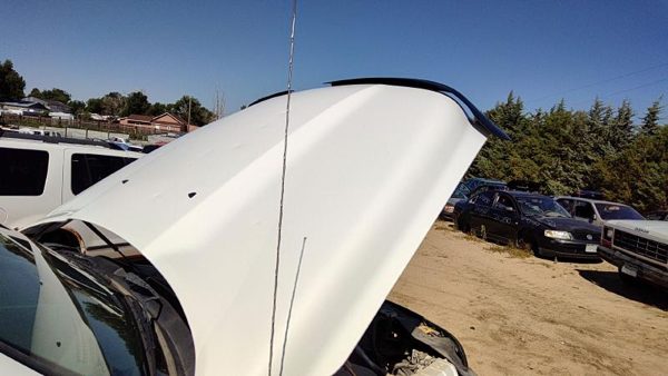 2016 Ram 1500 Hood White PW7 — photo 2