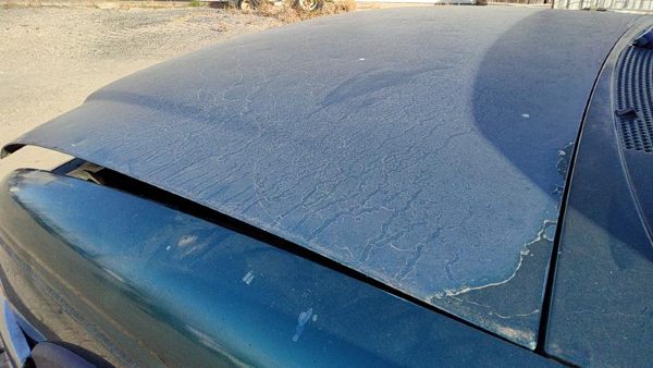 1998 Ford Ranger Hood Ps Pacific Green Hail F87Z16612AA — photo 4