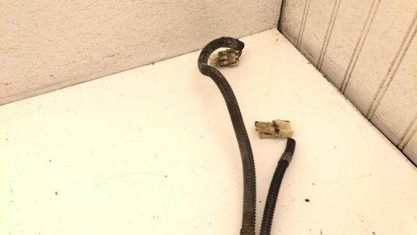 1986 Chevy Caprice Wiring Harness For Engine Oem 4.3L — photo 11