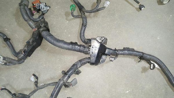 2008 Rogue Wire Harness (engine) Rouge Engine Wiring 2.5L Automatic QE25DE Vin — photo 5