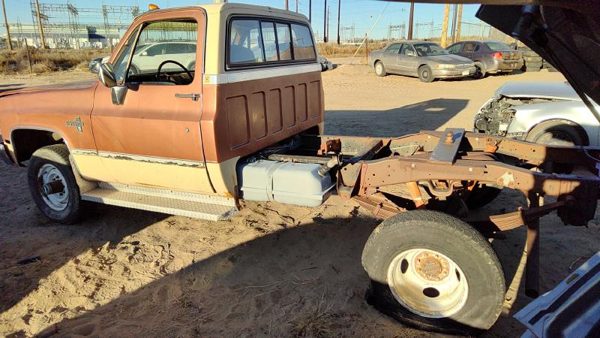 1983 Chevy Pickup 30 — vehicle photo 4