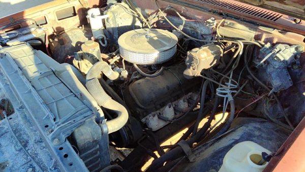 1983 Chevy Pickup 30 — vehicle photo 7