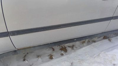 1996-2000 Honda Civic Driver Left Front Moulding From Door Oem Trim Strip