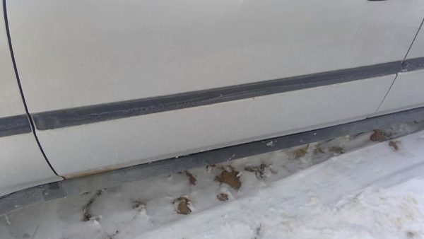 1996-2000 Honda Civic Driver Left Front Moulding From Door Oem Trim Strip — photo 1