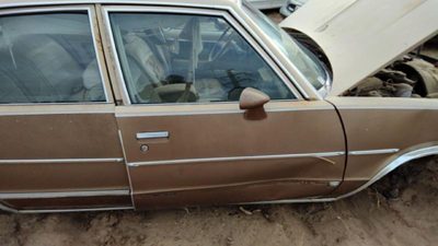 1981 Chevrolet Malibu Front Door RH Tan 20320770