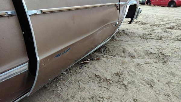 1981 Chevrolet Malibu Front Door RH Tan 20320770 — photo 5