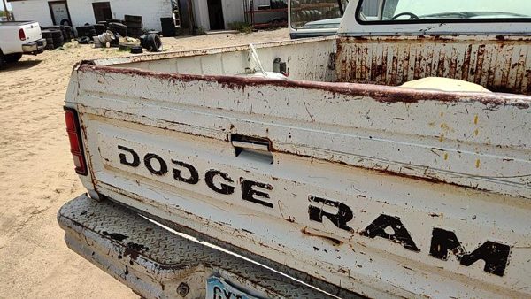 1984 Dodge Ram Trunk/decklid/hatch/tailgate White Rough — photo 5