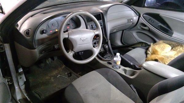 2001 Ford Mustang — vehicle photo 5