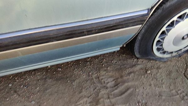 1993-1996 Buick Lesabre Driver Left Rear Moulding From Door Oem Back Trim Strip — photo 5