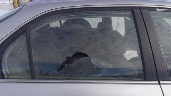 1996-2000 Honda Civic Passenger Right Rear Side Window Door Glass Oem Back — photo 1