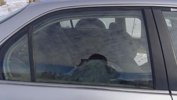 1996-2000 Honda Civic Passenger Right Rear Side Window Door Glass Oem Back — photo 2