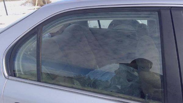 1996-2000 Honda Civic Passenger Right Rear Side Window Door Glass Oem Back — photo 8