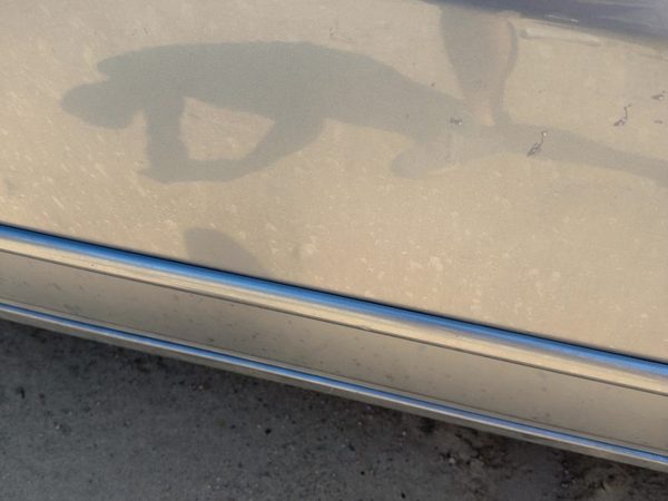 07 Accord Passenger Right Front Moulding From Door Oem Sedan Cool Blue B542M — photo 6