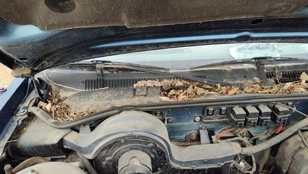 88-91 Olds Cutlass Calais Passenger Right Windshield Wiper Arm Oem Blade Lever — photo 2