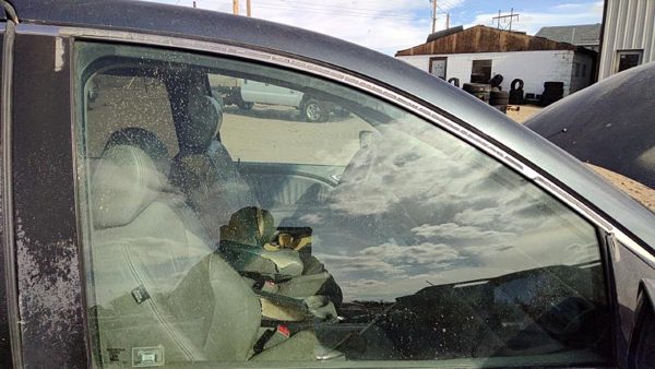 2005-2010 Honda Odyssey Passenger Right Front Side Window Door Glass Oem 7837511 — photo 2