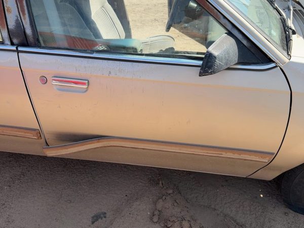 1993 Buick Century Front Door RH Gold — photo 2