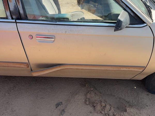 1993 Buick Century Front Door RH Gold — photo 3